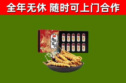 常德回收冬虫夏草价格